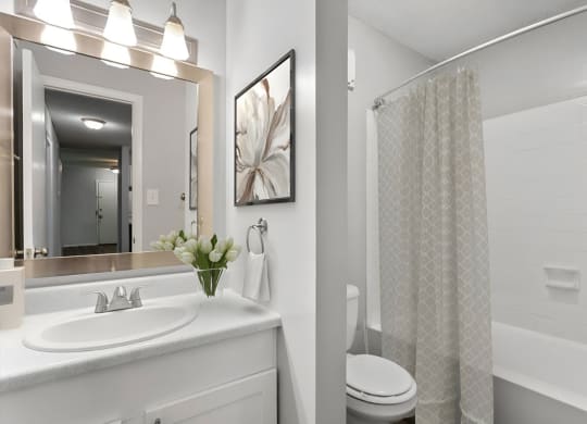 White Bathroom at Lakes Edge Apartments, Greensboro
