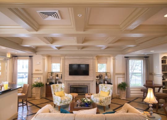 Clubroom With TV And Fireplace at Northlake Park, Florida