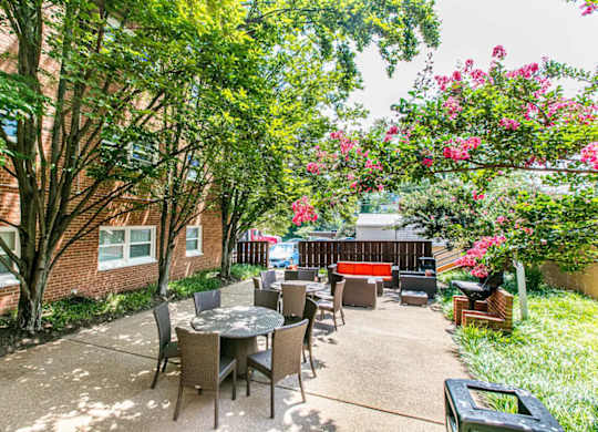 A patio with a table and chairs surrounded by trees. at Park Georgetown Apartments, Arlington, 22209
