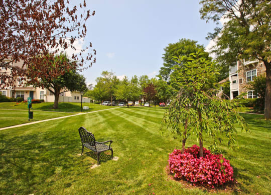 Courtyard Area at Saratoga Square, Springfield, Virginia