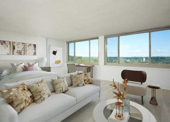 Spacious studio with lots of natural sunlight  at The Aspen, Virginia