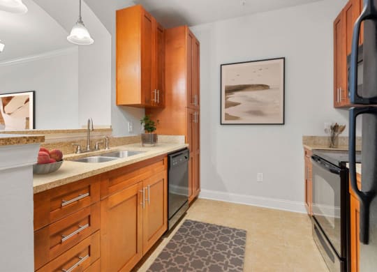 Kitchen at The Villagio Apartments, Fayetteville, 28303