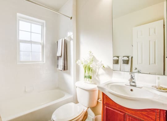 Upgraded bathroom fixtures at Myerton, Arlington, 22204