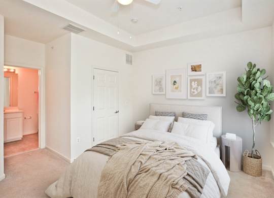 A bedroom with a large bed and a plant on the side table. at Barrington Park Apartments, Manassas