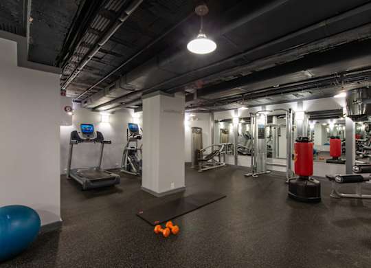 A gym with a blue exercise ball and orange dumbbells on the floor. at Columbia Uptown Apartments, Washington, DC