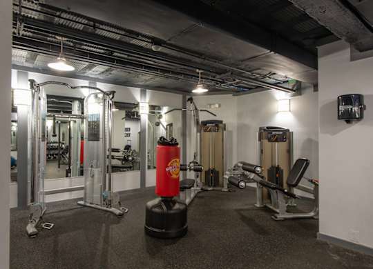 A gym with a variety of equipment including a squat rack, a bench, and a barbell. at Columbia Uptown Apartments, Washington DC, 20009