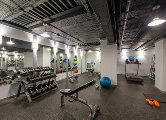 A gym with a variety of equipment including dumbbells, a bench, and a ball. at Columbia Uptown Apartments, Washington DC