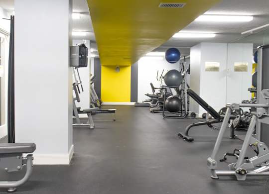 A gym with a variety of equipment including weights and a bench.