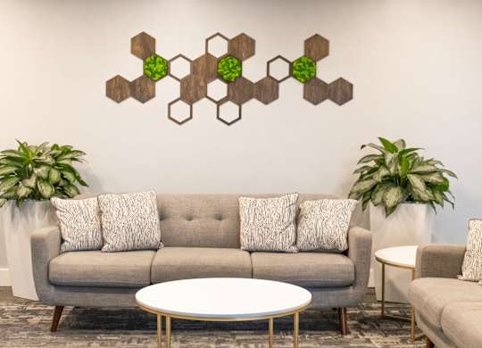 A living room with a grey couch, a white coffee table, and a green plant.