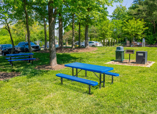 Picnic Spot at West Pointe Apartments, Burlington, North Carolina