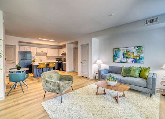 A living room with a grey couch and a rug.