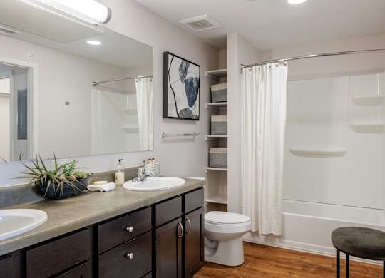 A bathroom with a toilet, sink, mirror, and a plant.