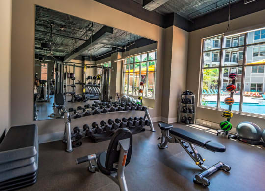 fitness weights at The Collective NoDa, North Carolina