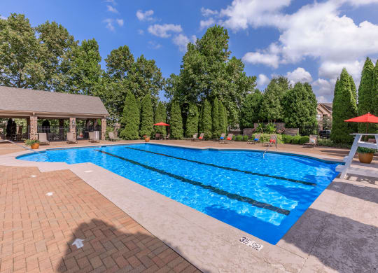 Terraces_At_Forest_Springs_Pool_2_Louisville_KY