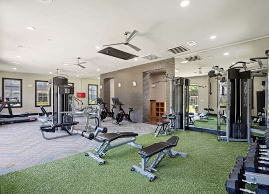 A well-equipped gym with a variety of exercise machines and a green artificial turf area.