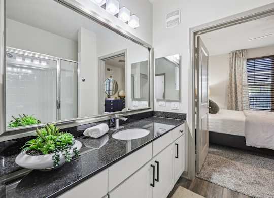 bathroom with a large mirror at Vine + Vail Townhomes and Apartments, Grapevine, TX