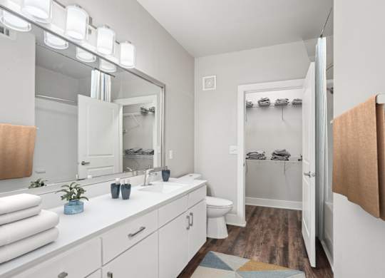 Bathroom with white vanity and walk-in closet at Highline Urban Lofts Apartments, Texas, 77429