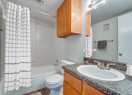 Classic Bathroom at Bardin Oaks Apartments, Arlington