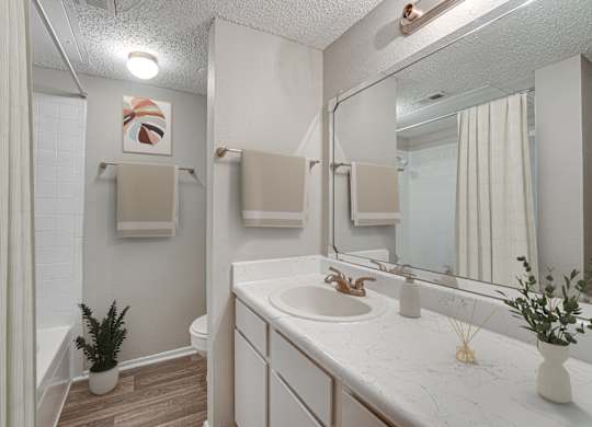 Stylish Bathroom at Bardin Oaks Apartments, Arlington, TX