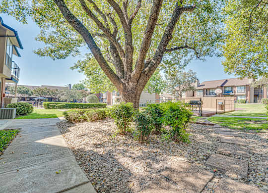 Landscaped area with sidewalk at Bardin Oaks Apartments, Arlington