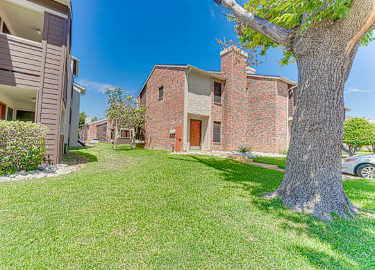 tree in a yard at Timberglen Apartments, Dallas Texas