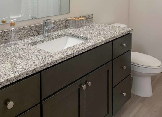 a bathroom with dark cabinets, a vanity sink, a shower and a toilet