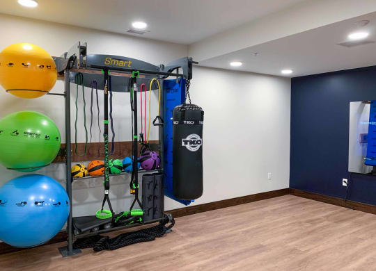 A fitness center with a punching bag and other exercise equipment