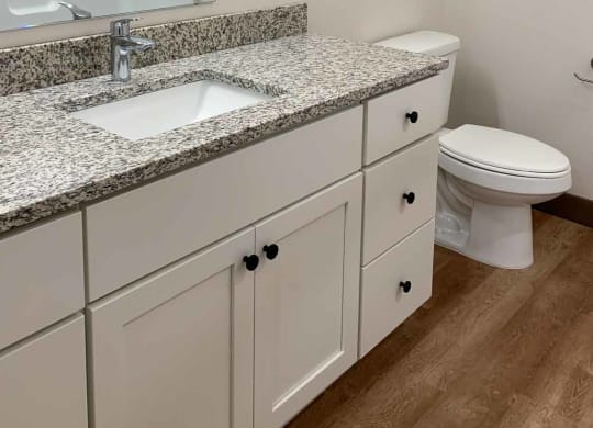 a bathroom with a sink and a toilet