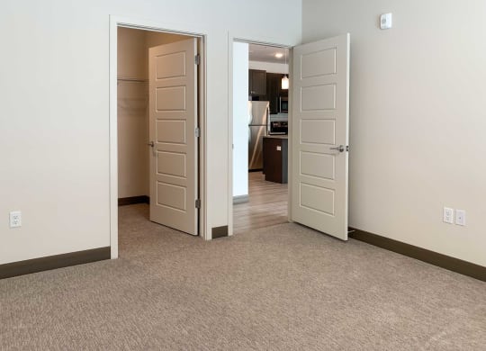 a bedroom with a walk-in closet