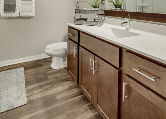 Bathroom with cherry cabinet vanity and great lighting at Ascend at Woodbury