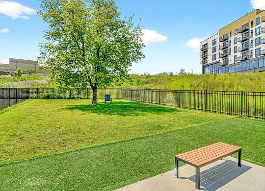 A park with a bench and a tree in the middle of a grassy area.