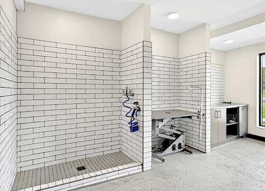 Indoor pet wash station with white subway tile walls, raised wash platform, handheld sprayer, and utility sink in a clean apartment amenity room.
