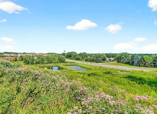 Scenic landscape view with wildflowers, grassy fields, and a small pond near a roadway, offering natural surroundings adjacent to the apartment community.