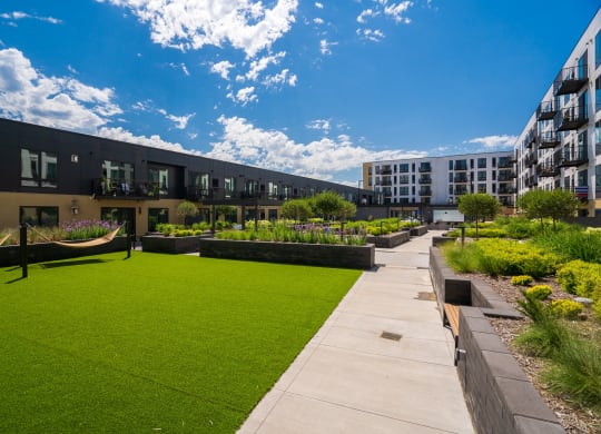 Hammock on grassy area with view of luxury apartments in the background