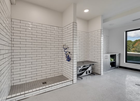 Tiled dog wash and grooming spa at Aspire at CityPlace luxury apartments 55125