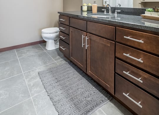 Interiors- Bathroom with large vanity for extra storage at the Villas of Omaha Butler Ridge in Omaha NE