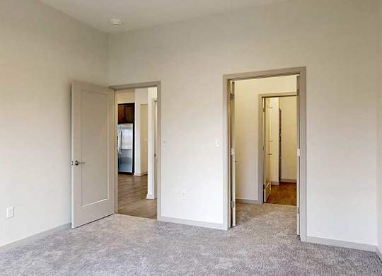 a bedroom with a walk-through closet to the attached bathroom and a door to the living room