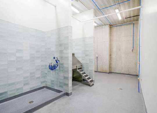 a tiled dog spa with a large walk-in shower, and a pet wash station