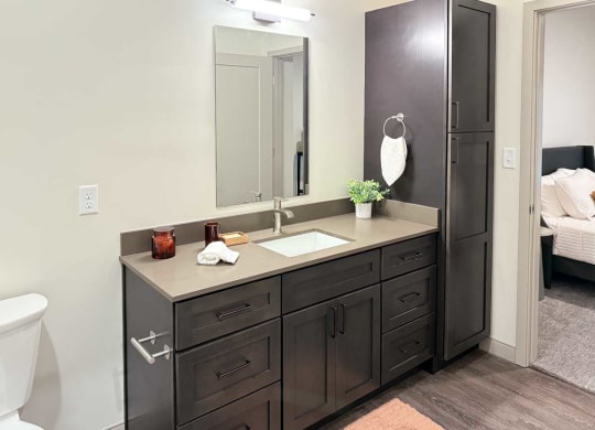 a walk-through bathroom with a long vanity sink, quartz countertops, dark wooden cabinets, and a tall storage cabinet