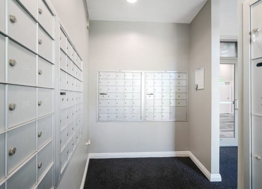 a row of mailboxes in a room next to the door to the main lobby