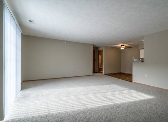 A living room with a carpeted floor and a patio door letting in sunlight.