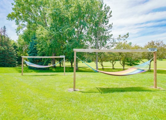 a pair of hammocks in a grassy area