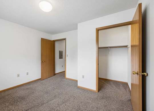 Bright apartment bedroom with carpeted flooring, neutral walls, an open closet with a hanging rod, and a separate walk-in closet for additional storage.