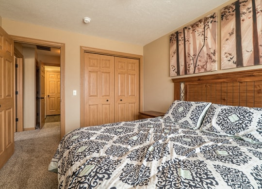a bedroom with a wide closet and a queen bed