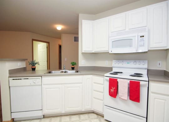 Kitchen with stove and dishwasher at Northbrook Apartments in Lincoln NE