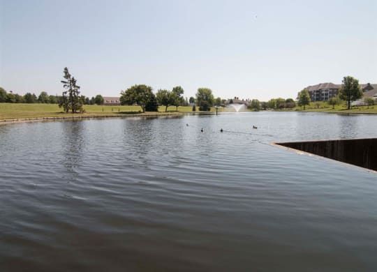 Pond near Williamsburg Park Apartments in Lincoln NE