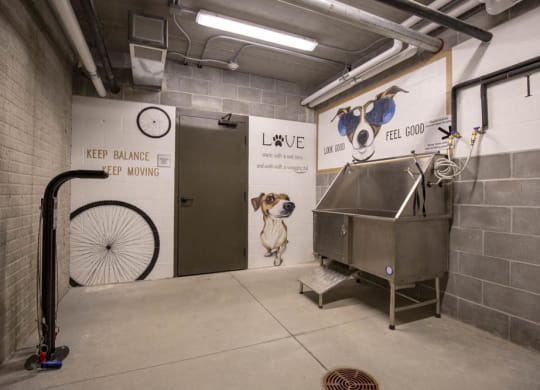 Bike repair station and pet wash station at North Pointe Villas luxury apartments in North Lincoln NE 68521