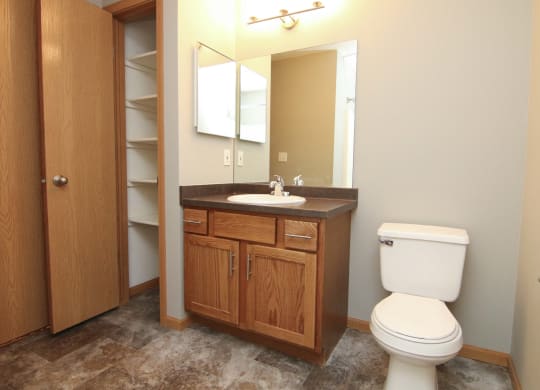 Renovated bathroom with linen storage closet at Northbrook Apartments