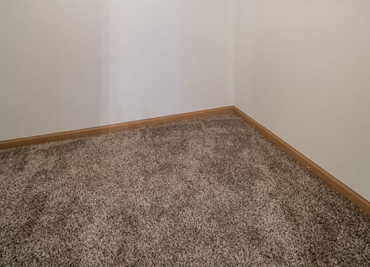 Large walk-in closet for extra storage at The Northbrook Apartment Homes, Lincoln, NE