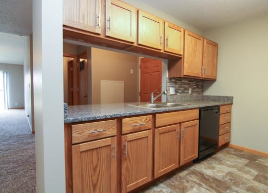 a kitchen with a counter top and a sink
